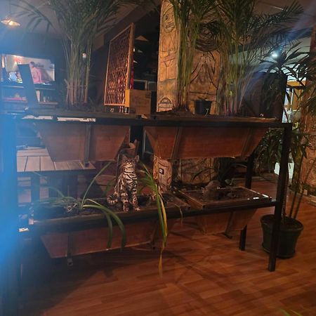 Portelli Hostal Zona G- Para Extranjeros ボゴタ エクステリア 写真