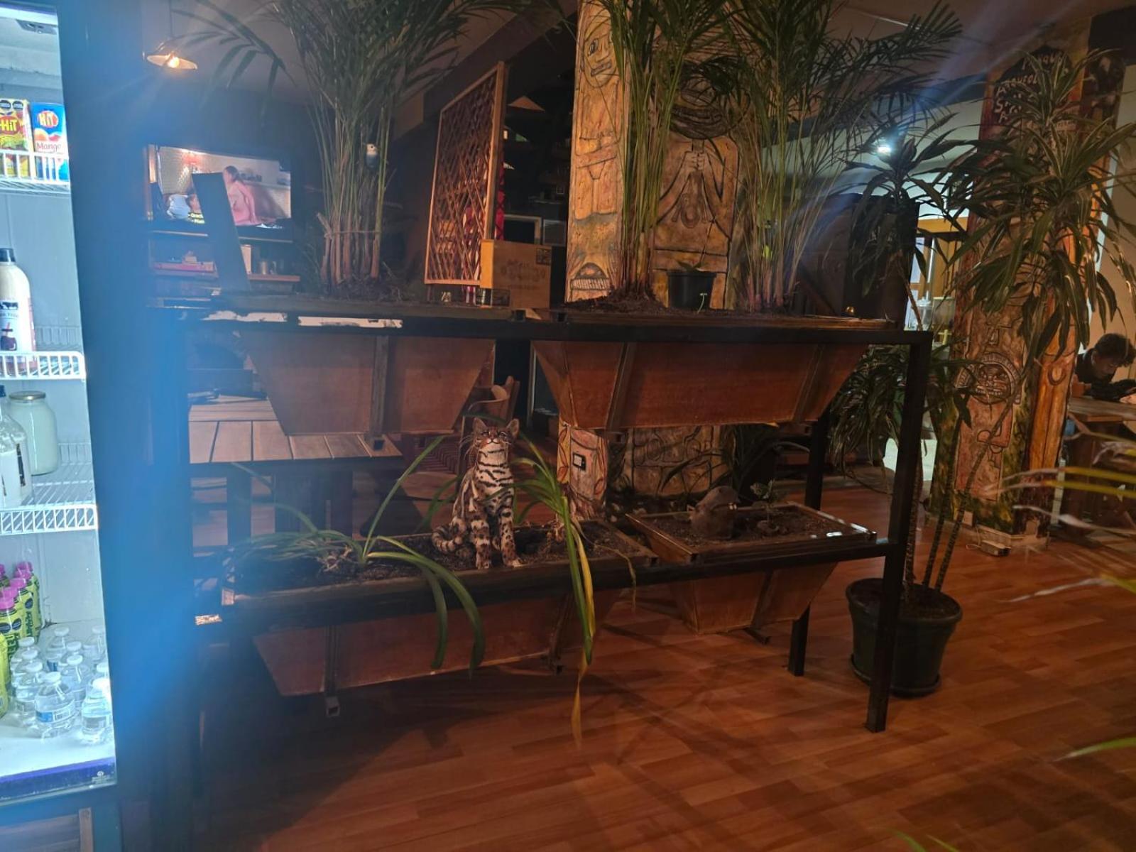 Portelli Hostal Zona G- Para Extranjeros ボゴタ エクステリア 写真